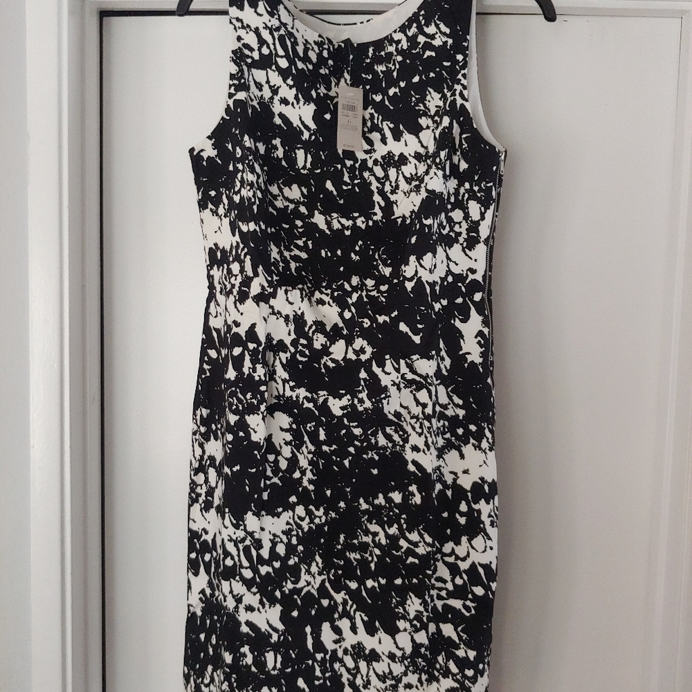 nwt ann taylor loft fress
